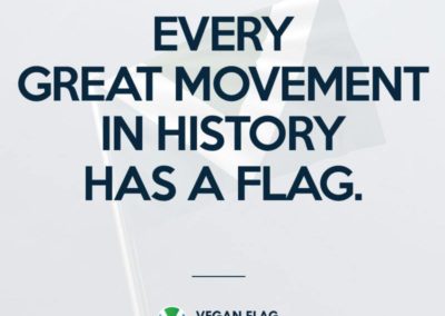Every great movement in history has a flag