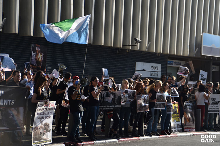 Protest against live shipment in israel